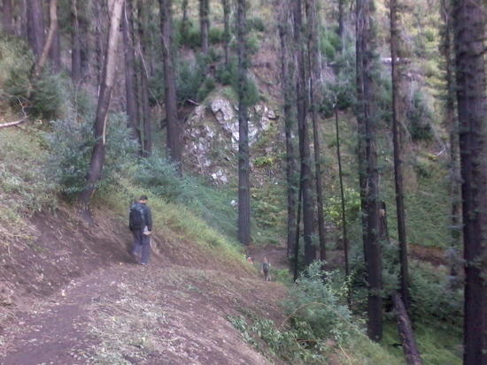 back