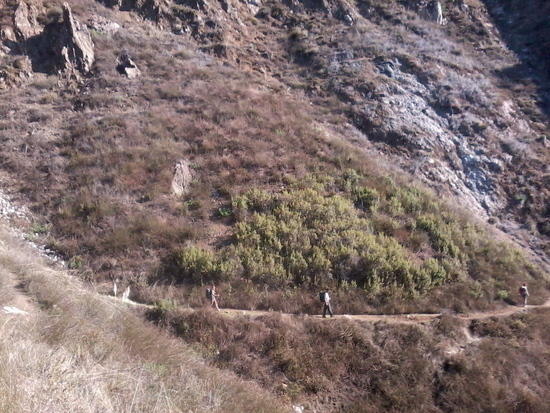 trail back