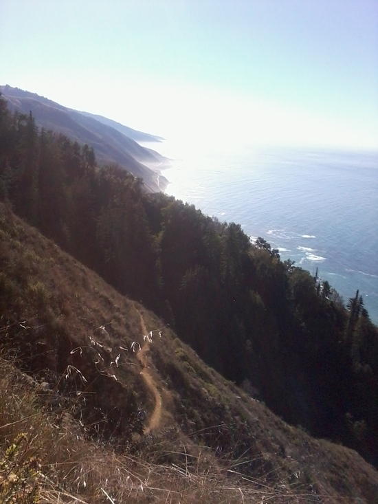 trail back