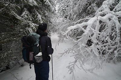 Lots of snow