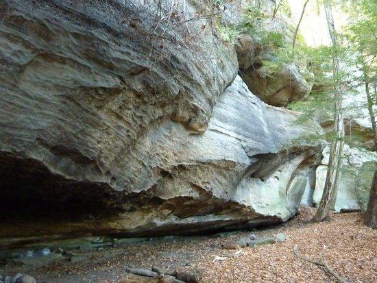 rock shelter in ANF