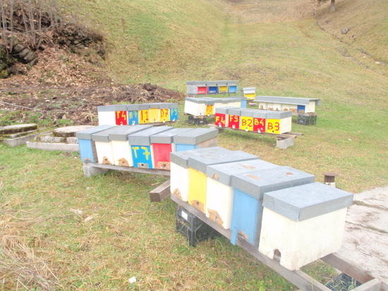 Beehives