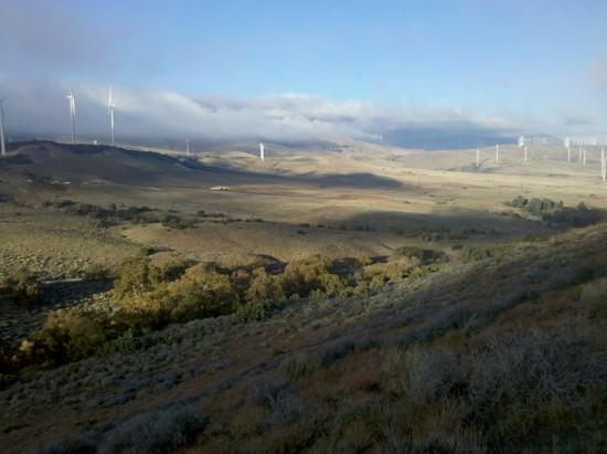 Fog and wind turbines