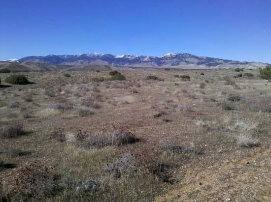 The Tehachapi Range