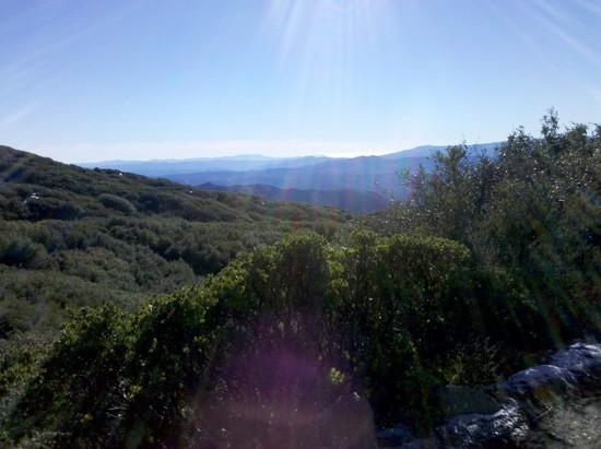 The Pacific Ocean (it's in the picture, I swear)