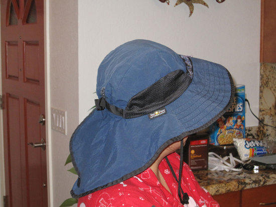 Pat Hat 2