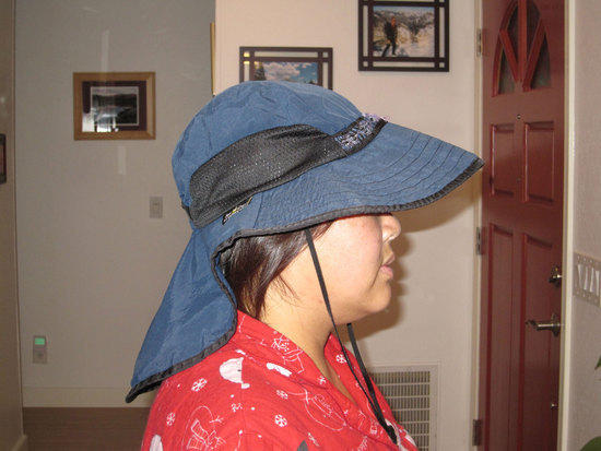 Pat Hat 4