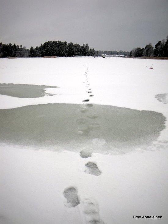 jäljet