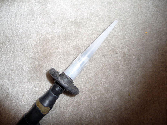 pole tip protector