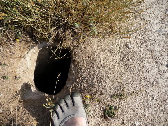 Fivefingers