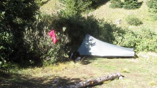 My Contrail Tarptent tucked in the trees