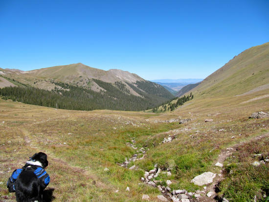 Looking toward the West Elks