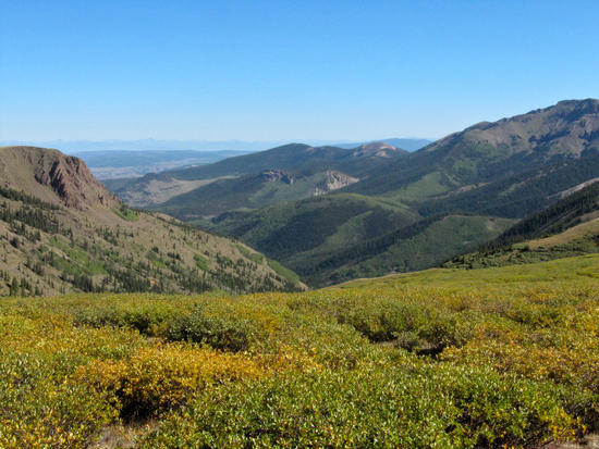 West Mineral Creek, with the Sagauche in the distance