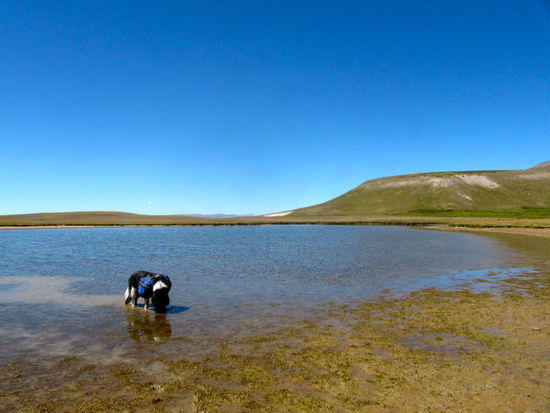 High pond on Snow Mesa
