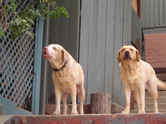 Sunni and Abigail