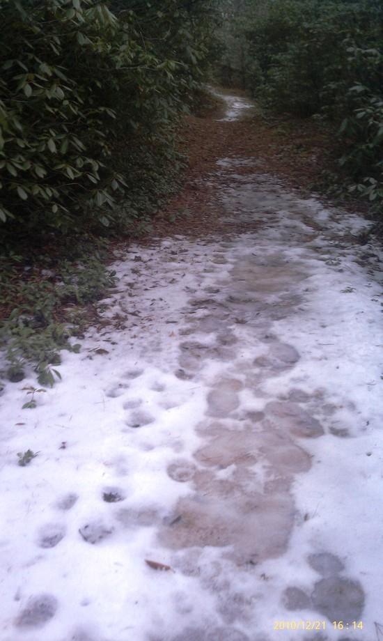 Ice Trail