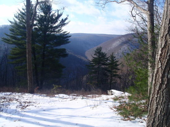 View into Naval Run