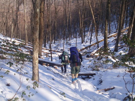 Going down to Little Slate Run