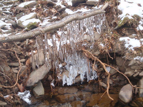 ice - 6