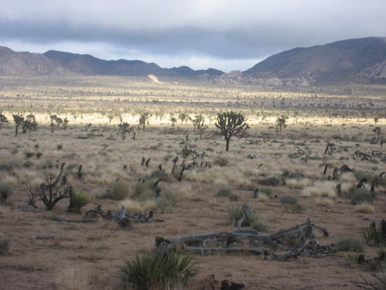 Valley