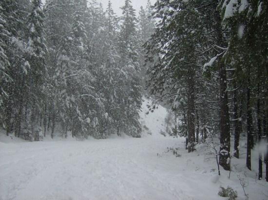 trail head