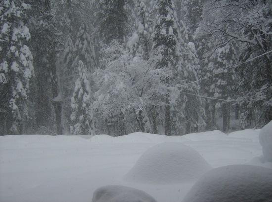 snow