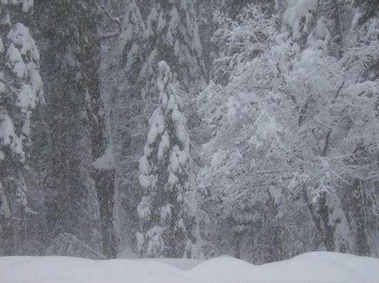 snow