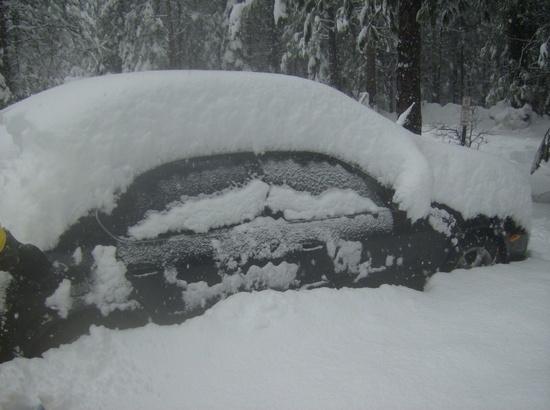burried