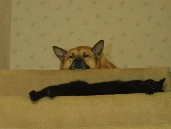 casey and carbon