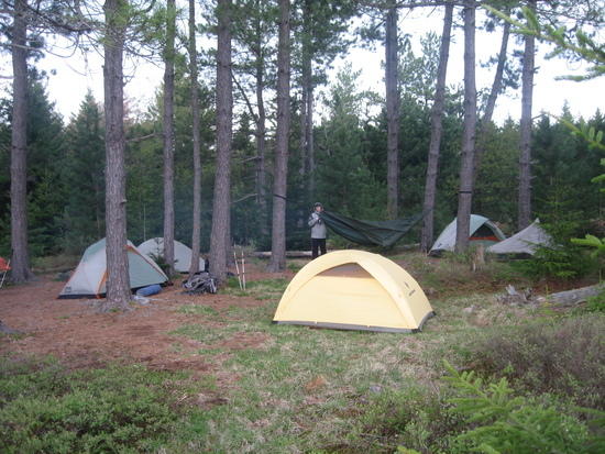 BD Hilight in Dolly Sods