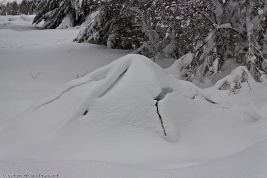Scarp 1 under snow