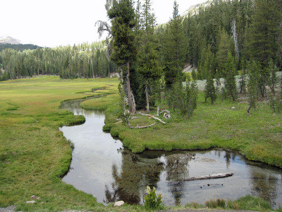Upper Meadow