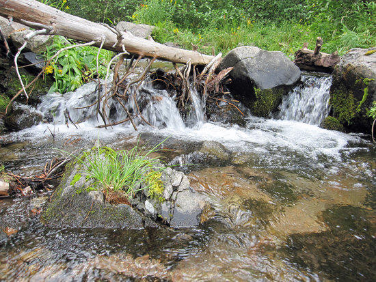 A Constant Friend, Waters Along the Trail