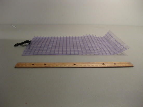 Carpet Stakes