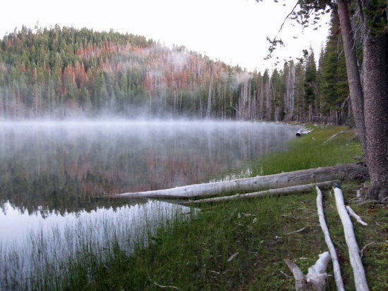 Misty Shores 1