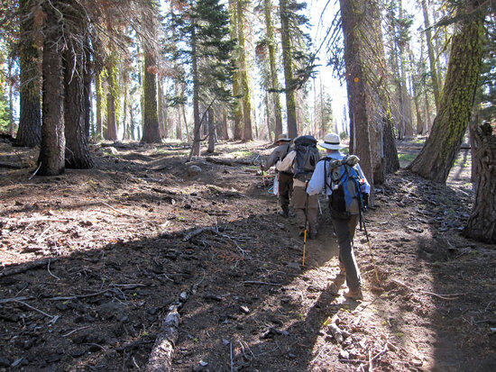 Striking out for a Day Hike