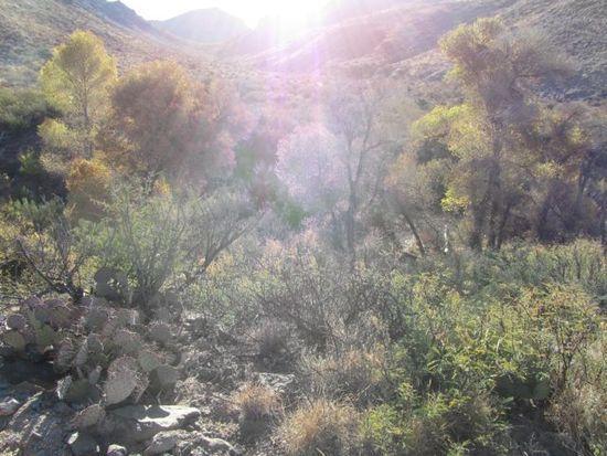 cr spring above