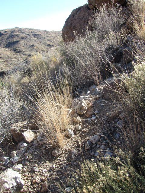rough path