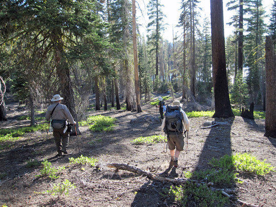Last Stretch Down to Our Campsite at Rainbow Lake