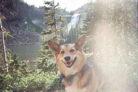 Hiking partner