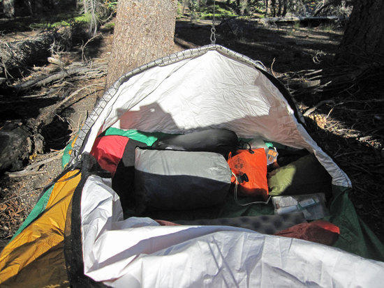 Bivy at the Base of a Tree