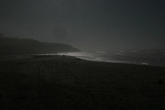 waddell