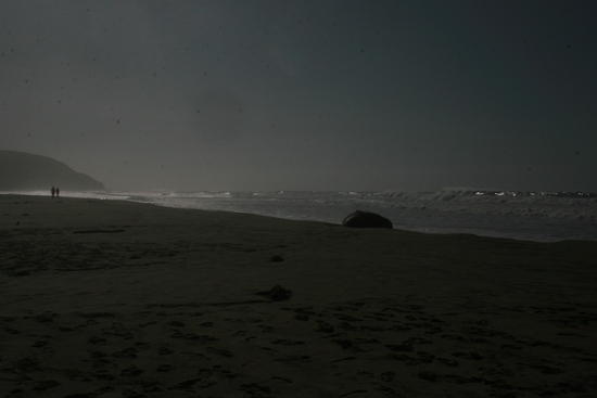 waddell