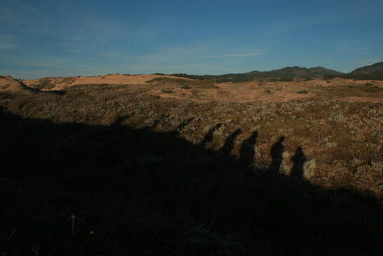 shadows