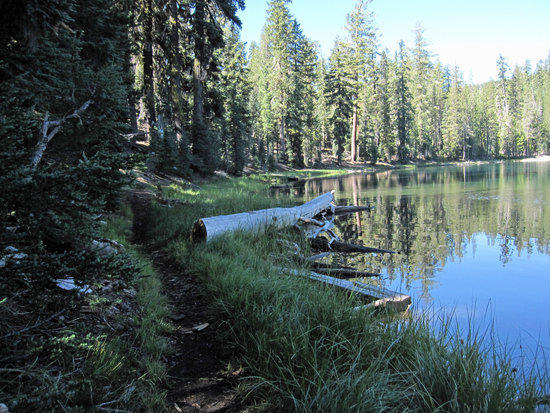 Morning Shadows of the Trail