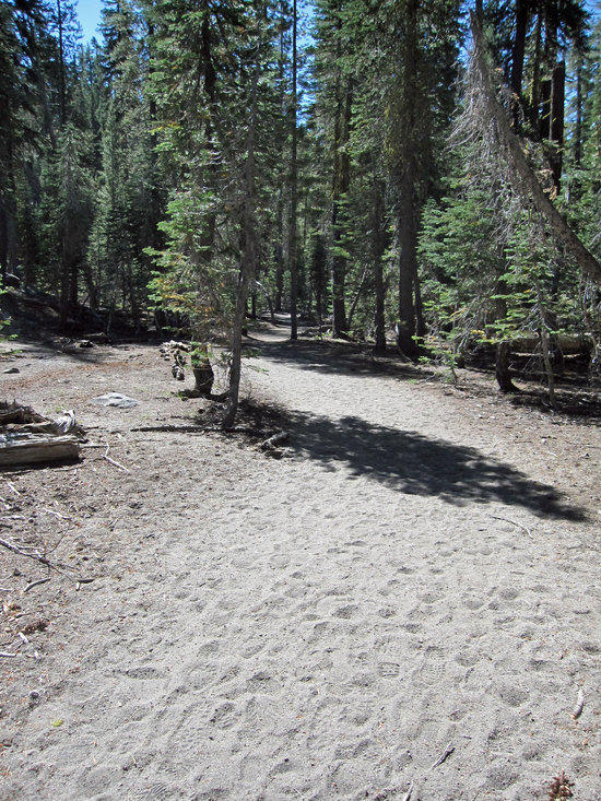A Beaten Path