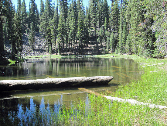 Unmarked Pond