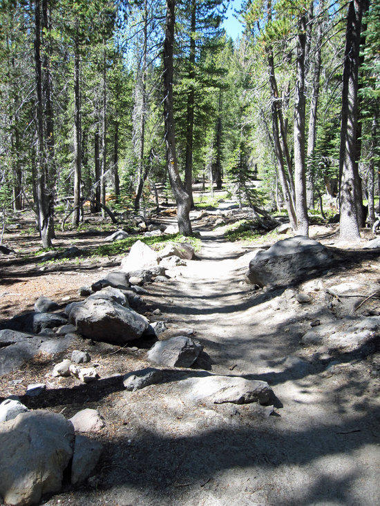 An Easy Trail