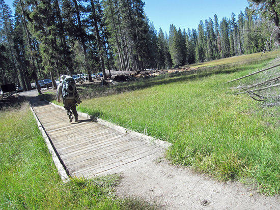 Walking Through the Campground