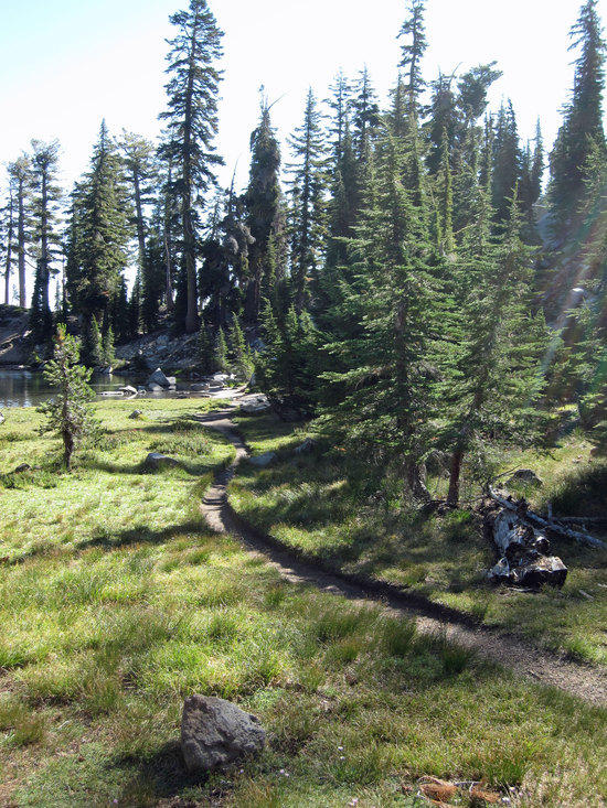 Looking Back that the Winding Trail